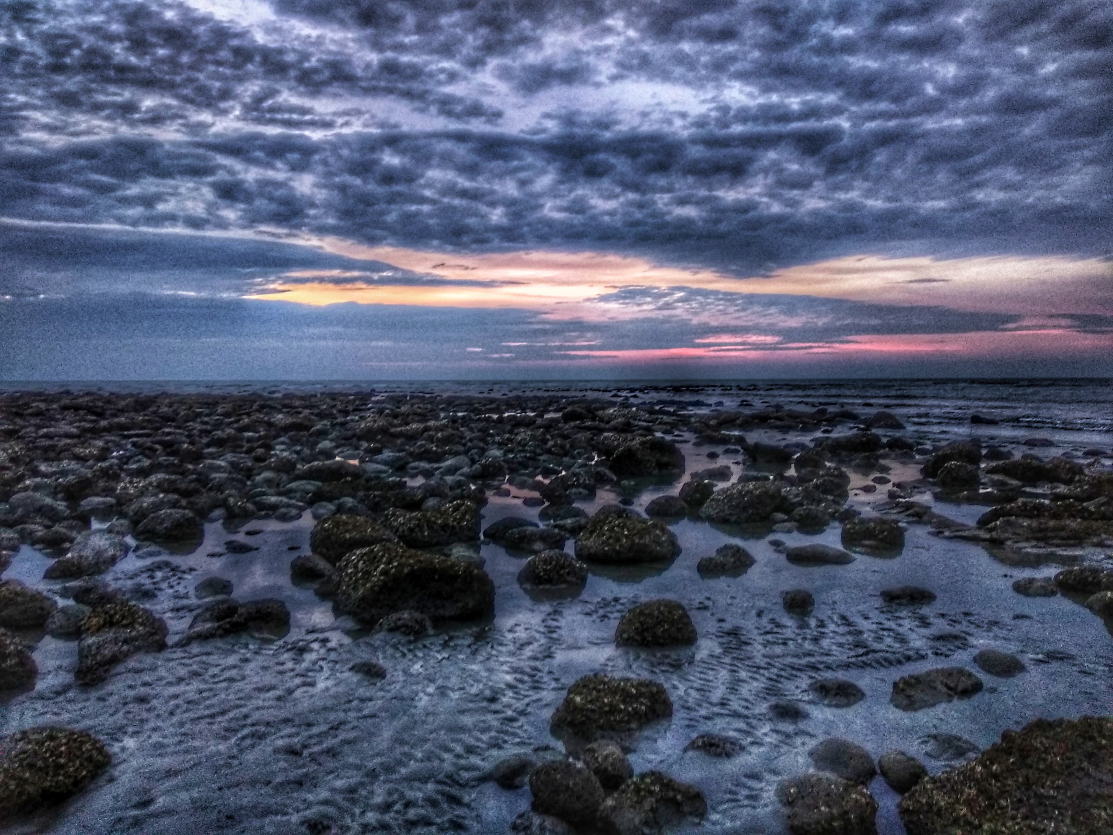 Algae-covered rocks and tidal pools at dusk on a coral shore